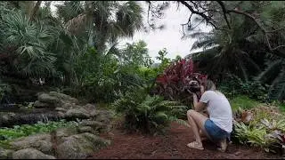 Kodak против Rollei против Revolog &mdash; Wheel of Film, Эпизод 7