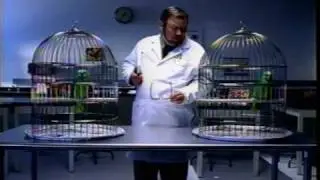 1998 Rock Mountain News Commercial featuring Barron Christian