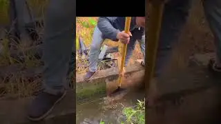irrigation channel wall cleaning process #shorts
