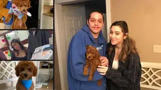 Pete Davidson slaughters PETA over new dog in explicit voicemail: &lsquo;Suck my d&ndash;k&rsquo;.