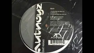 Autnoyz - Artform (2001)