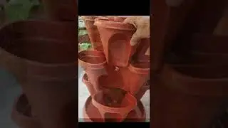 Space Saving Unique Plastic Pot #shorts #gardeningshorts #selfwateringplanter