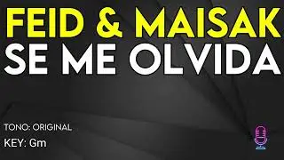 Feid & Maisak - Se Me Olvida - Karaoke Instrumental