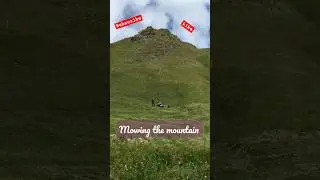 Most hardworking gardener! that's how Swiss prepare the mountains 4 tourists 😂! Mowing the mountain