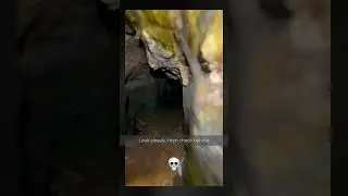 Don't look away... they notice. #creepyfootage #weirdworld #unexplained