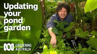How to update your edible pond garden | DIY Garden Projects | Gardening Australia