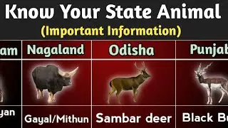State Animals of Every Indian States || Indian States and their State Animals || The Honest