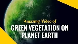 Amazing Views of Green Vegetation on Planet Earth | Satellite pictures of Earth's plantation