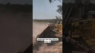 D10 Bulldozer Smashed down TREE! #viralvideo #viralshorts #viralshort  #viralreels