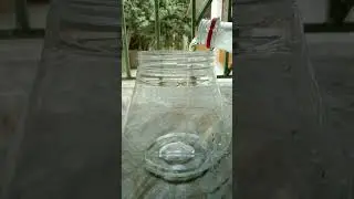 Amazing Science Trick With Water