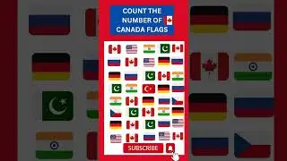 COUNT THE NUMBER OF CANADA FLAGS #shorts #youtubeshorts