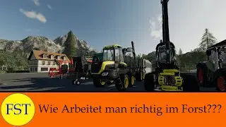 LS19 [Tipps & Tricks] Wie Arbeitet man richtig im Forst (f&uuml;r alle interessant)