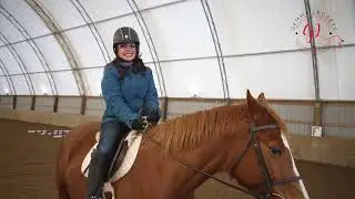 🏠 5841 2nd Line Schomberg | Equestrian Paradise Farms For Sale In Ontario 🏠