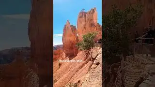 Raw Panoramic  View 🏞️ of Bryce Canyon. Raw video | Stunning Natural Amphitheater