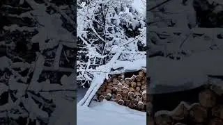 Как создать СТАБИЛЬНОЕ БУДУЩЕЕ для Своей Семьи и Общества на долгие годы