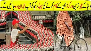 FASTEST WORKERS IN THE WORLD In Hindi/Urdu | Fast Workers