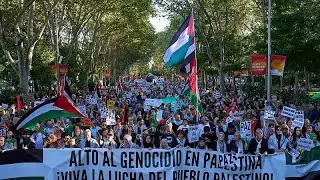 Spain holds national strike in solidarity with Palestinians