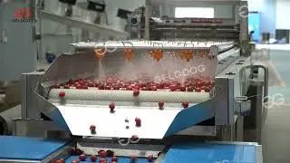 Cherry Tomato Washing Machine: 99% Clean, 0% Damage
