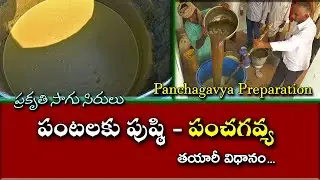 పంటలకు పుష్ఠి 