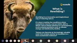 Ecosulis: A career in rewilding & paid opportunities within conservation - Green Festival session