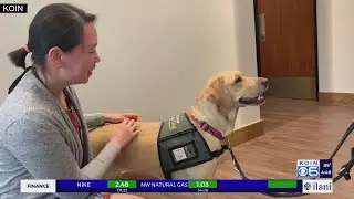 National Assistance Dog Week