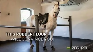 This rubber flooring will convince you: REGUPOL equiline allround