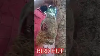 HOW MAKE AND HANG BIRD HUT NEST HOME