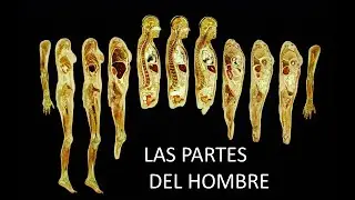 DIVISIONES DEL HOMBRE según el Advaita