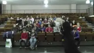 LE HARLEM SHAKE RAID CAB ADOS