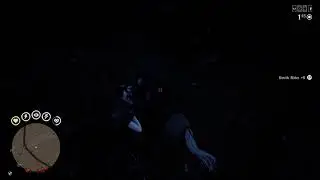 Red Dead Redemption 2 | Gypsy Cob Fearless