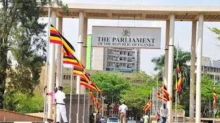 Parliament To Pass Law on Surrog@cy And Sp3rm Donation