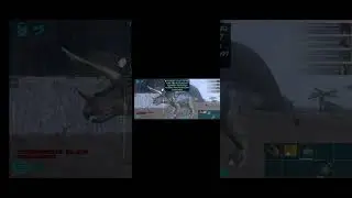 ٩ يناير ٢٠٢٦