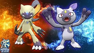 HISUI SNEASEL ALL GROWN UP! Pok&eacute;mon Draft League I PPL Week 7