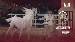 مهرجان سوق واقف للفروسية 22-01-2026