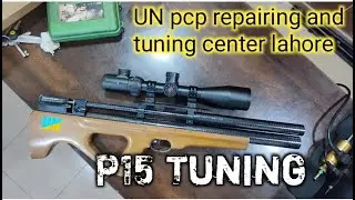 artemis p15 5.5mm pcp air rifle | artemis p15 tuning
