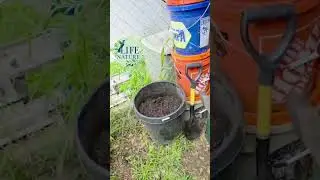 ✨️Como crear una tierra de hojas, con muy buenos resultados y pasos sencillos👇 lifenature te ayuda😉