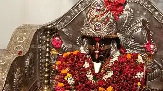 বহরমপুর বিষ্ণুপুর কালী বাড়ি মন্দির ও মেলা 🙏❤️🌺✨ জয় মা 🙏🌺❤️✨ #youtube #viral #vlog #maakali 