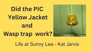 Review of Pic Yellow Jacket and Wasp Trap