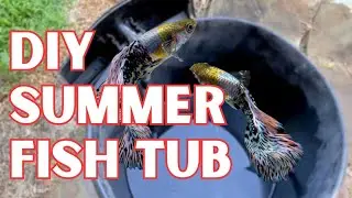 DIY Summer Fish Tub