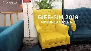 BIFE-SIM 2019