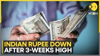 Indian Rupee Down After Rallying Over 1% Against the Dollar | WION NEWS