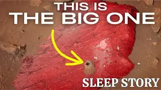 10-Minute Bedtime Story &ndash; Have We Really Found Life on Mars?