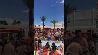 Daylight Pool Party!