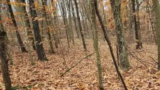 first time out Hunting for 2025 on puplicLand for SmallGame & Fall turkey in PA