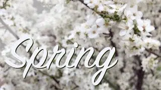 Spring | Kharkiv (iPhone 8 Plus handheld + DJI OSMO Mobile 2) -- Весна | Харьков