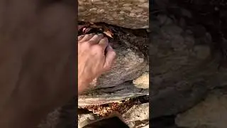 #Freesoloing around super loose rock on the climb Yale at the #Gunks. Press above to view full video