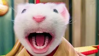 Cinco vezes em que o Stuart Little foi o melhor irmão de todos 🌀 4K