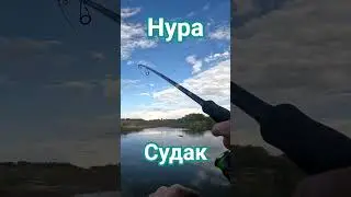 Скоро видео на Канала #fishing #рыбалка #рекомендации