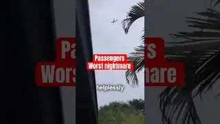 Plane falls out of the sky #plane #pilot #crash