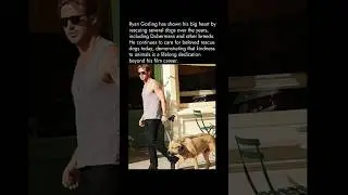 Ryan Gosling&rsquo;s Devotion to Rescue Dogs